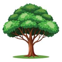 Creative tree graphic depicting a tree with an extensive canopy spreading wide and far vector