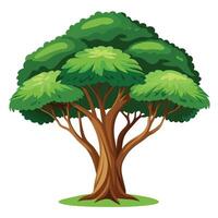 Unique tree artwork with a massive and shady canopy offering refuge from the sun vector