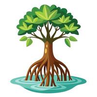 Distinctive mangrove tree design showcasing its characteristic prop roots in a wetland ecosystem vector