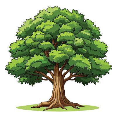 Grand oak tree illustration with a strong trunk and sprawling branches under a clear sky