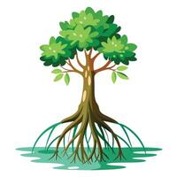 Unique mangrove tree illustration with intricate root systems above and below water vector