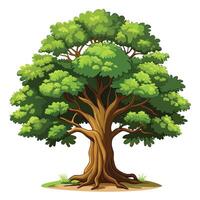 Noble oak tree design featuring a wide canopy and thick trunk in a natural setting vector