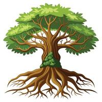 Designed Tree Old Weathered Tree vector