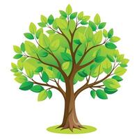 Lush spring green tree illustration with vibrant leaves and a lively atmosphere vector