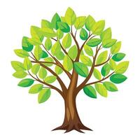 Fresh spring green tree design with vibrant foliage and new growth vector