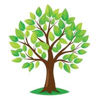 Bright spring green tree graphic with a fresh and invigorating springtime vibe vector