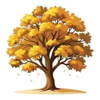 Classic sturdy oak tree in autumn design with rich fall colors vector