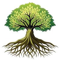 Detailed tree with intricately exposed roots above the ground vector