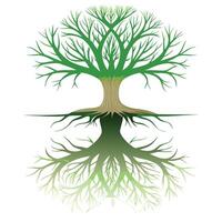 Creative illustration of a tree showing its mirrored image on a surface vector