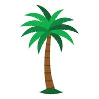 Clean and high quality illustration of a single tropical palm tree vector