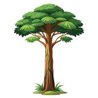 Artistic depiction of a tropical rainforest tree with its intricate leaf structure vector