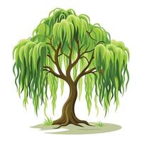 Unique design of a weeping willow tree with its long, slender branches cascading down vector