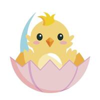 Charming illustration of a tiny chick hatching from an Easter egg vector
