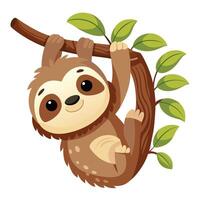 Adorable baby sloth hanging upside down from a tree branch vector