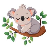 Cute of a koala bear hugging a branch while taking a nap vector