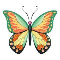 Charming butterfly displaying symmetrical wings with rich and vibrant colors vector