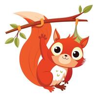 Cute charming red squirrel hanging upside down from a tree branch vector