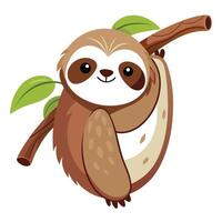 Cute charming sloth hanging upside down from a branch looking sleepy vector