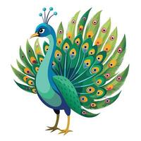 Proud and confident peacock displaying its bright and colorful tail feathers in a vibrant show vector