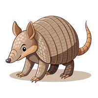 Intrigued curious armadillo walking slowly with its shell neatly patterned vector