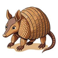 Observant curious armadillo moving forward with its unique shell design visible vector