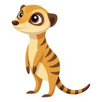 Alert curious meerkat standing on its hind legs and looking attentively vector