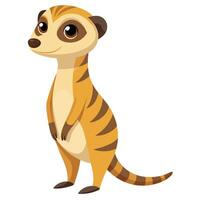 Observant curious meerkat on its hind legs carefully watching its surroundings vector