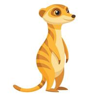 Inquisitive curious meerkat standing tall on its rear legs and watching intently vector