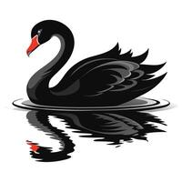 Elegant black swan gliding on water with a beautiful reflection vector