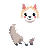 Funny alpaca with a fluffy coat and a cheeky smile illustration vector