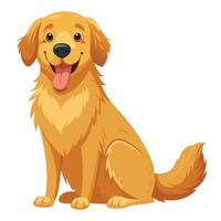 Devoted loyal golden retriever with a happy expression sitting patiently in vector