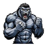 Formidable mighty silverback gorilla thumping its chest with a display of strength vector