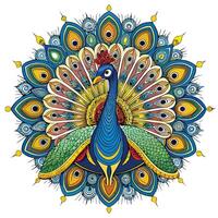 Regal peacock showing its ornate tail feathers fully spread art vector