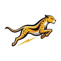 Sleek cheetah running at high speed leaving a trail of dust vector