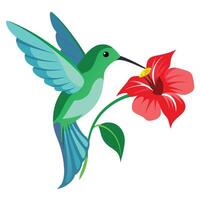 Cute tiny hummingbird feeding on sweet nectar from a colorful blossom in vector
