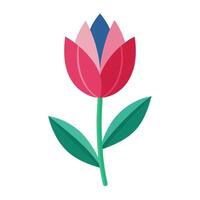 Tulip with asymmetrical petals of varying lengths illustration art vector