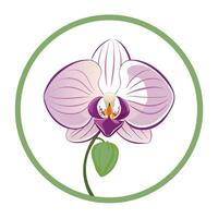 Circle frame orchid with subtle containment illustration elegant floral vector