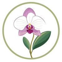 Modern orchid with a circle frame and subtle containment illustration vector