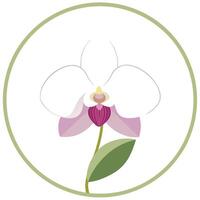 Orchid with a subtle circle frame illustration elegant floral art vector