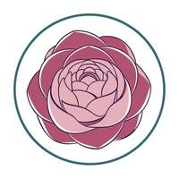 Peony with a circular frame and soft negative space illustration art vector