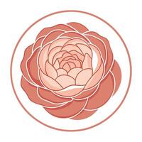 Modern peony with a circular frame and negative space illustration vector