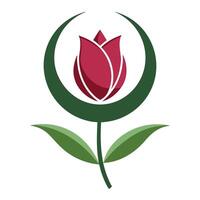 Abstract crescent moon tulip featuring beautifully curved petals in a floral design vector