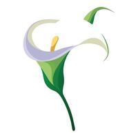 Unique curved stem calla lily featuring its graceful gentle flow in design vector