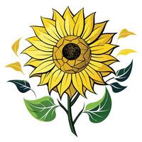 Unique cracked petal sunflower highlighting its artistic broken beauty in a drawing vector