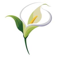 Abstract curved stem calla lily showcasing its soft gentle flow in art vector