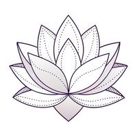 Abstract dashed line lotus showcasing its modern geometric design in art vector
