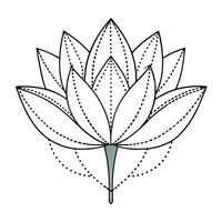 Unique dashed line lotus highlighting its abstract linear style in a graphic vector