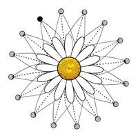 Modern dot connected daisy showcasing its abstract connected dots in art design vector