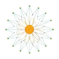 Abstract dot connected daisy with delicate floating elements in illustration vector