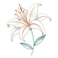 Elegant dotted line lily featuring its fragmented and abstract style in design vector